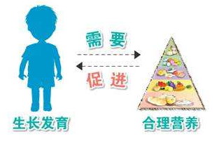 兒童生長發(fā)育測試儀分析生長發(fā)育的特點