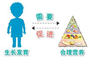 兒童生長發(fā)育測試儀廠家分析兒童發(fā)育遲緩的原因 兒童生長發(fā)育測試儀廠家分析兒童發(fā)育遲緩的原因